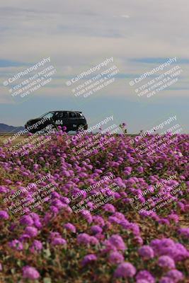 media/Jan-08-2023-SCCA SD (Sun) [[8f6a5b9391]]/Intermediate Group/Session 2 (Short Straight)/